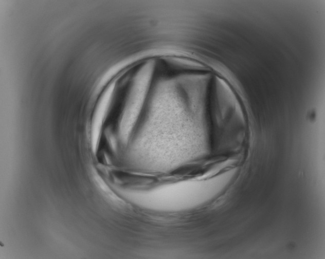 X0000113861388200910221431