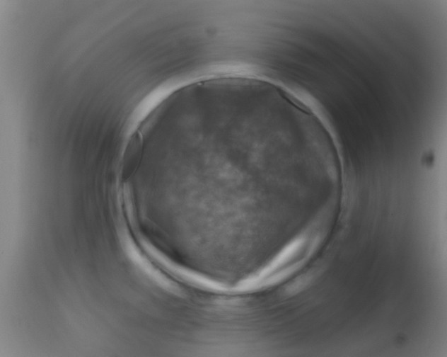 X0000113861389200910221431