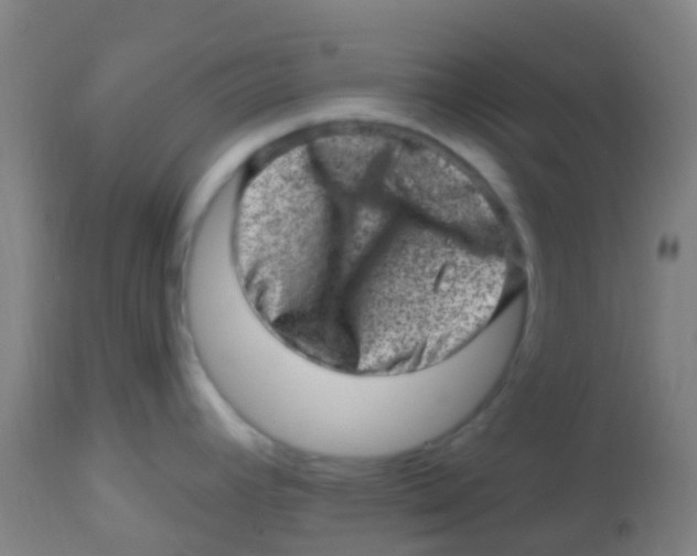 X0000113861392200910221431
