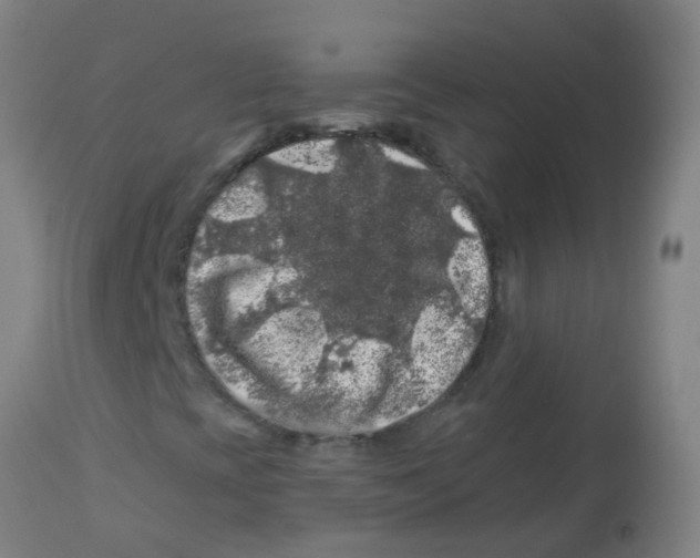 X0000113861393200910221430