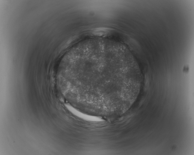 X0000113861394200910221431