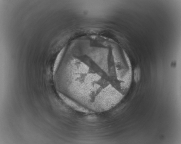 X0000113861395200910221431
