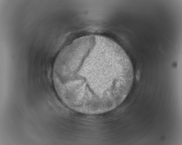 X0000113861396200910221431
