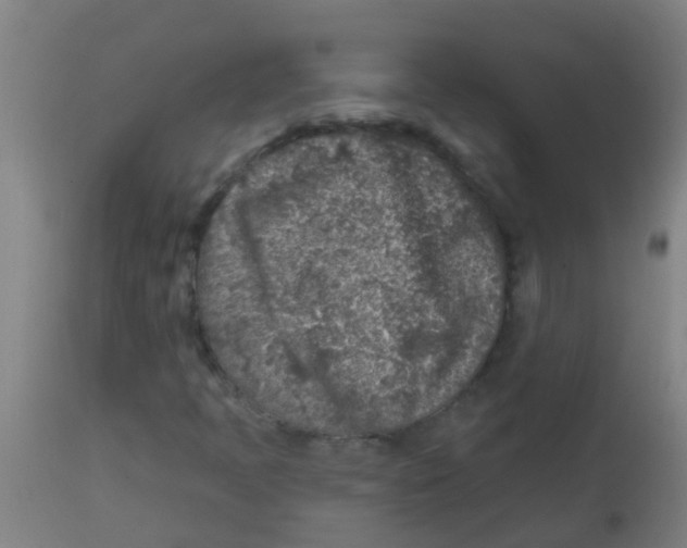 X0000113861397200910221431