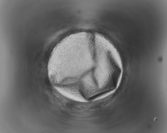 X0000113861398200910221431