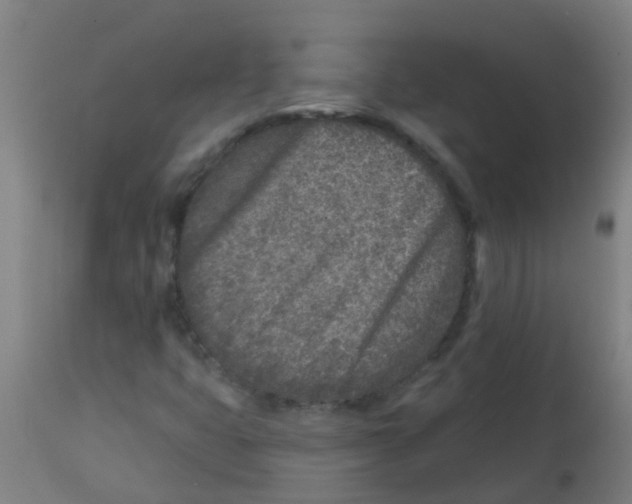 X0000113861399200910221431