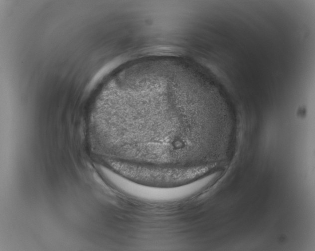 X0000113861402200910221431