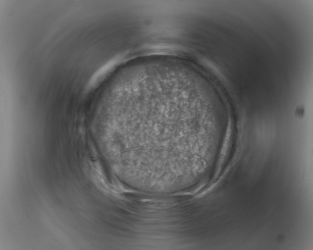 X0000113861403200910221431