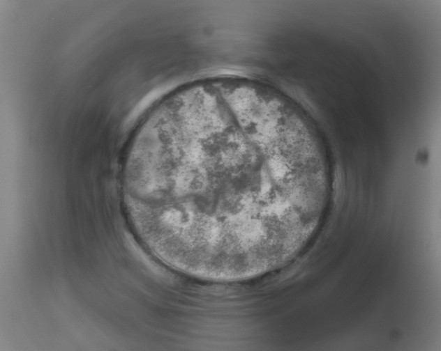 X0000113861404200910221431