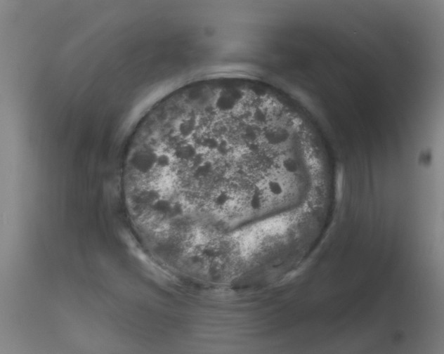 X0000113861405200910221431