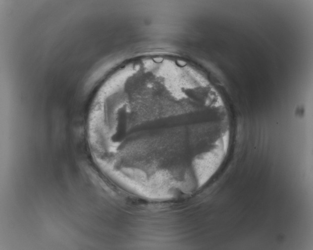 X0000113861407200910221431