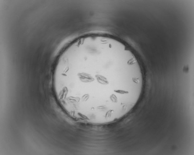 X0000113861408200910221431