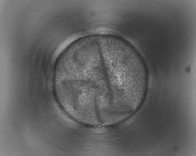 X0000113861410200910221431
