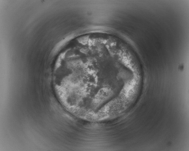 X0000113861411200910221431