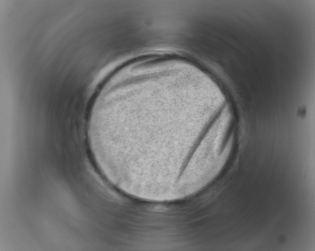 X0000113861412200910221431