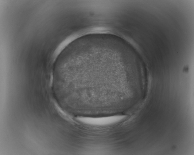 X0000113861413200910221431