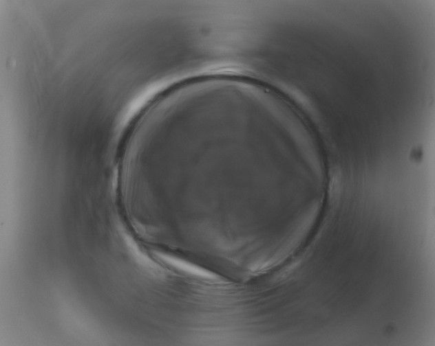 X0000113861414200910221431