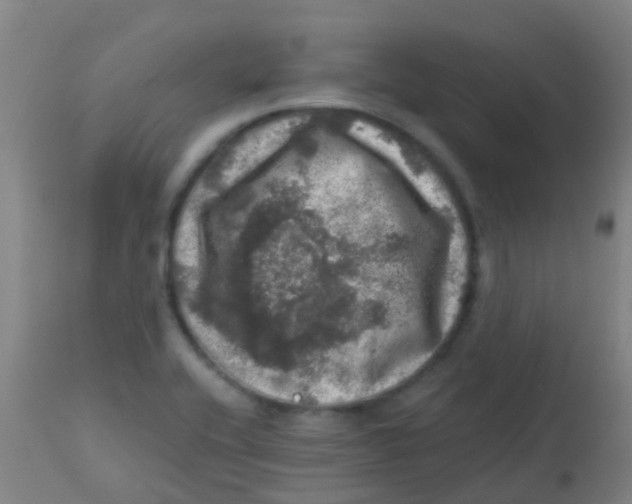 X0000113861416200910221431