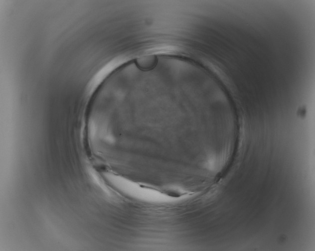 X0000113861418200910221431