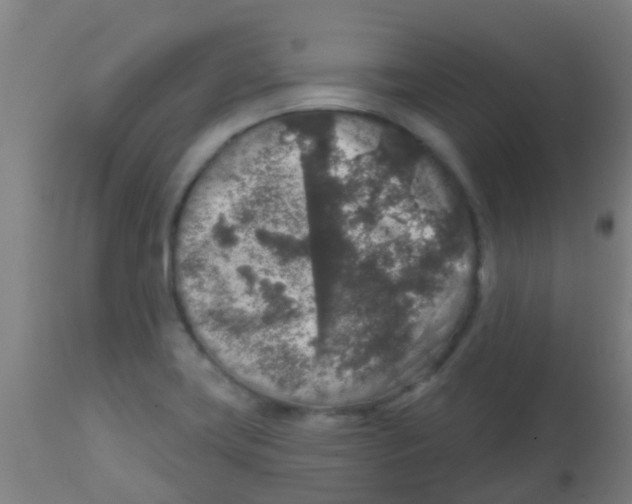 X0000113861419200910221431