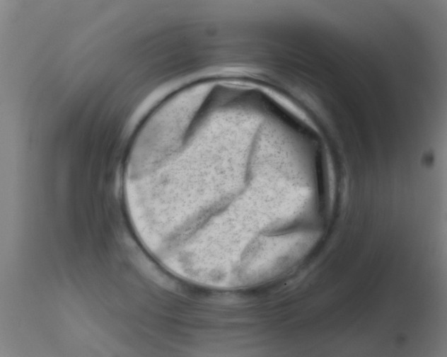 X0000113861420200910221431