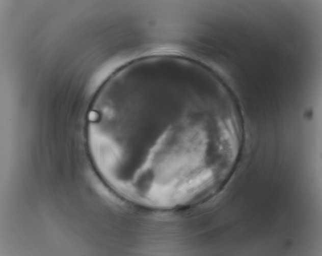 X0000113861422200910221431