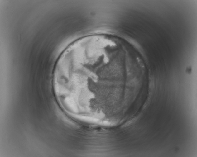 X0000113861423200910221431