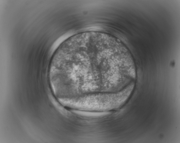 X0000113861426200910221431