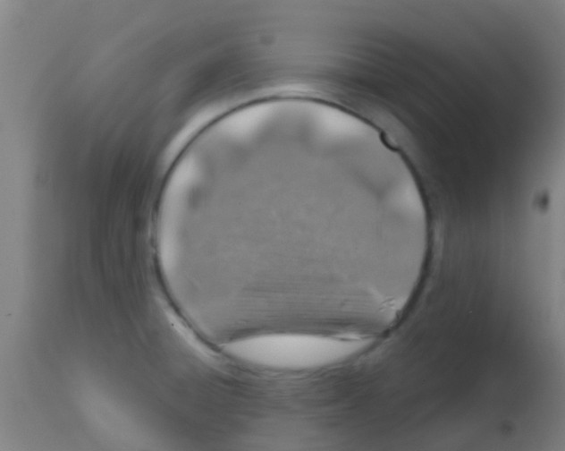 X0000113861428200910221431