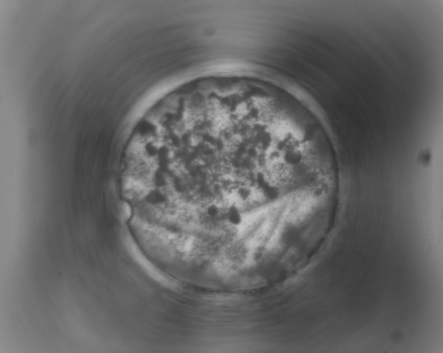X0000113861429200910221431