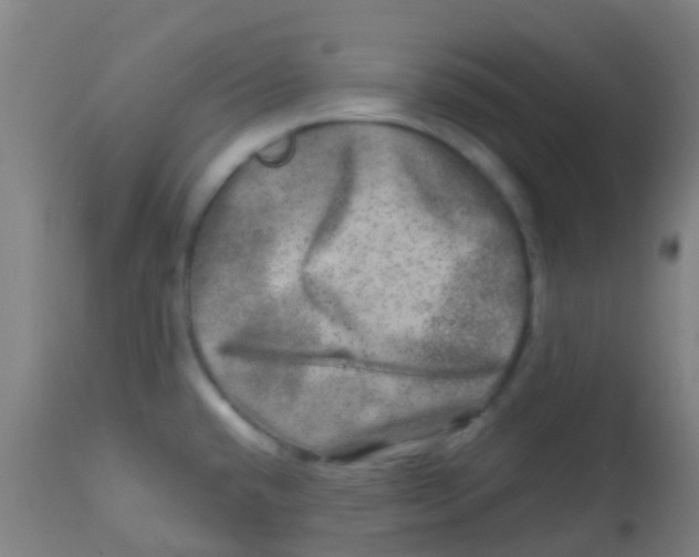 X0000113861432200910221431
