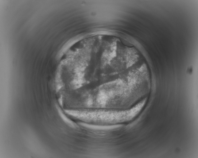 X0000113861433200910221431