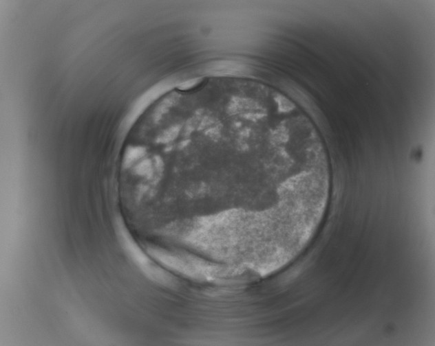 X0000113861434200910221431