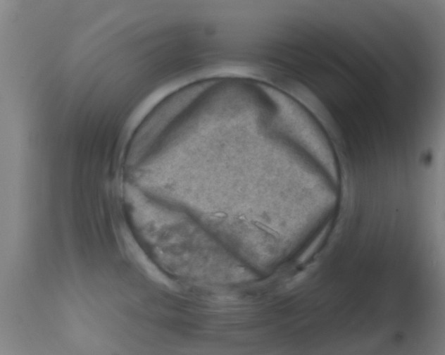 X0000113861436200910221431