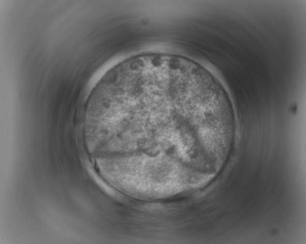 X0000113861437200910221431