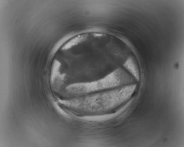 X0000113861438200910221431