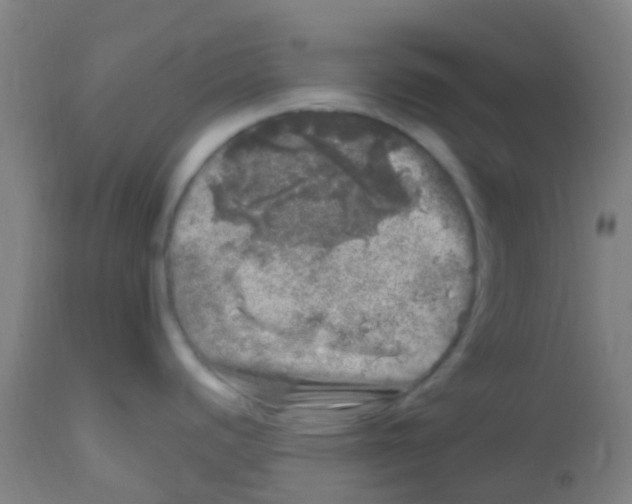 X0000113861440200910221431