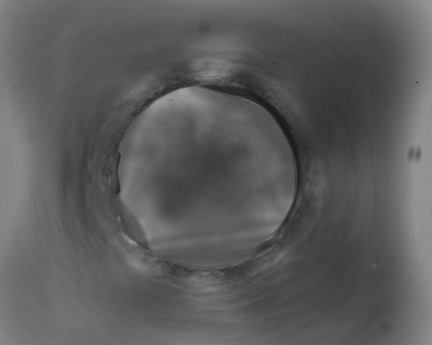 X0000113861441200910221430