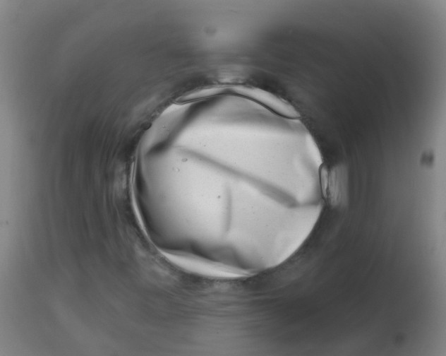 X0000113861443200910221430