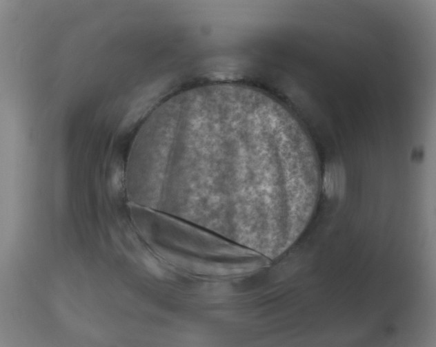 X0000113861444200910221430