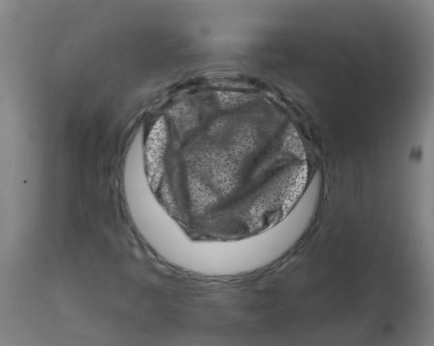 X0000113861445200910221430