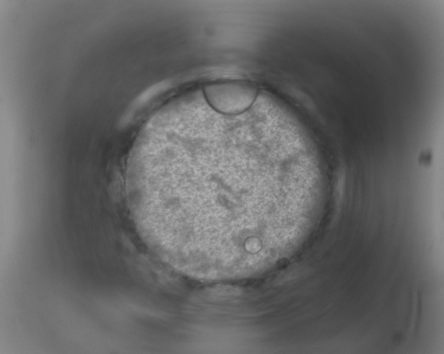 X0000113861446200910221430