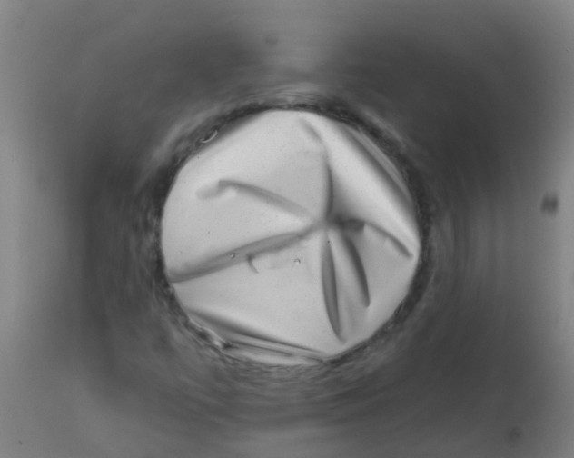 X0000113861447200910221430
