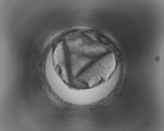 X0000113861448200910221430