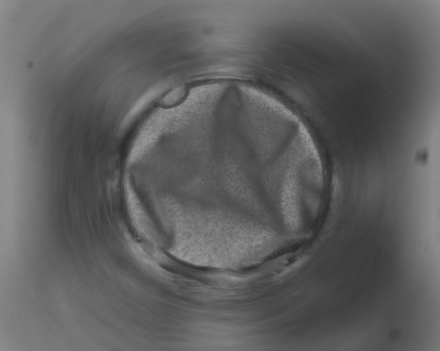 X0000113861450200910221430