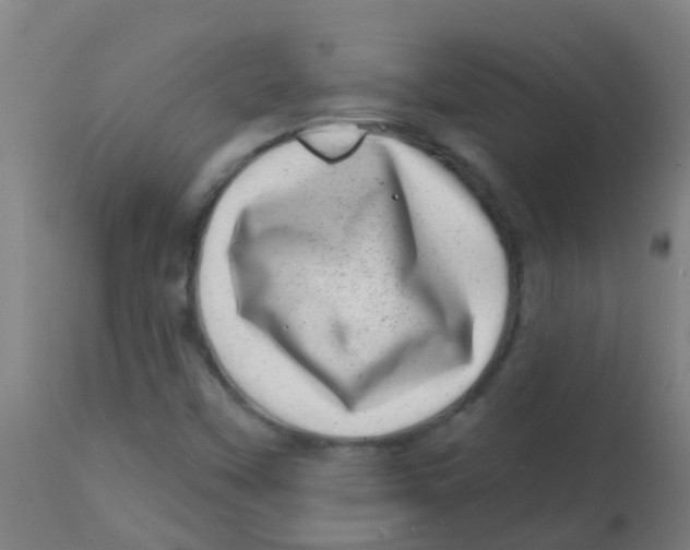 X0000113861451200910221430