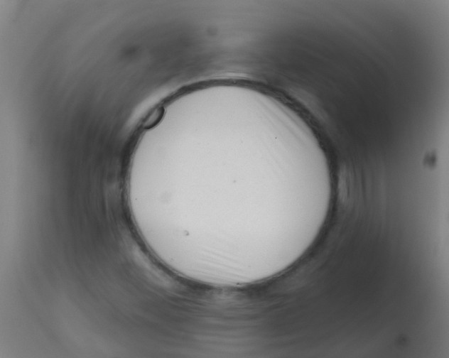 X0000113861452200910221430