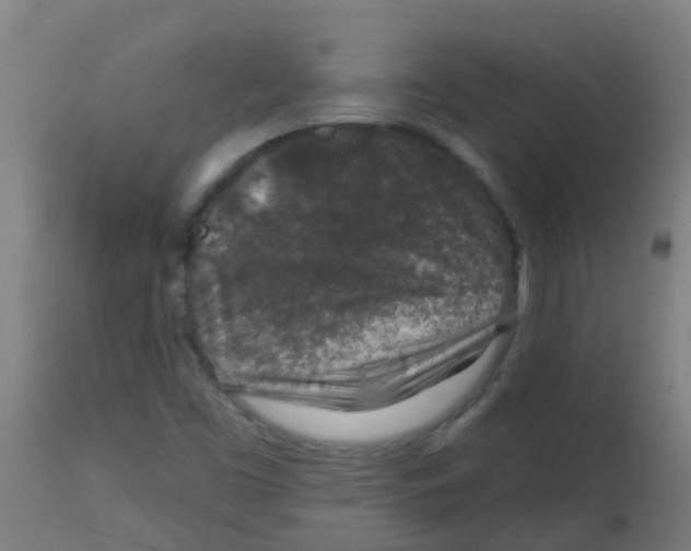 X0000113861453200910221430