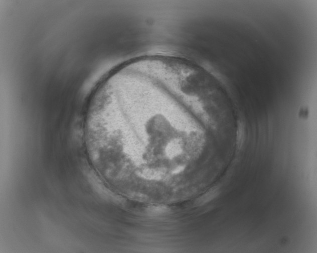 X0000113861454200910221430