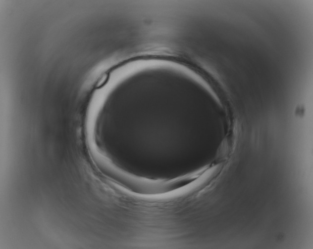 X0000113861455200910221430
